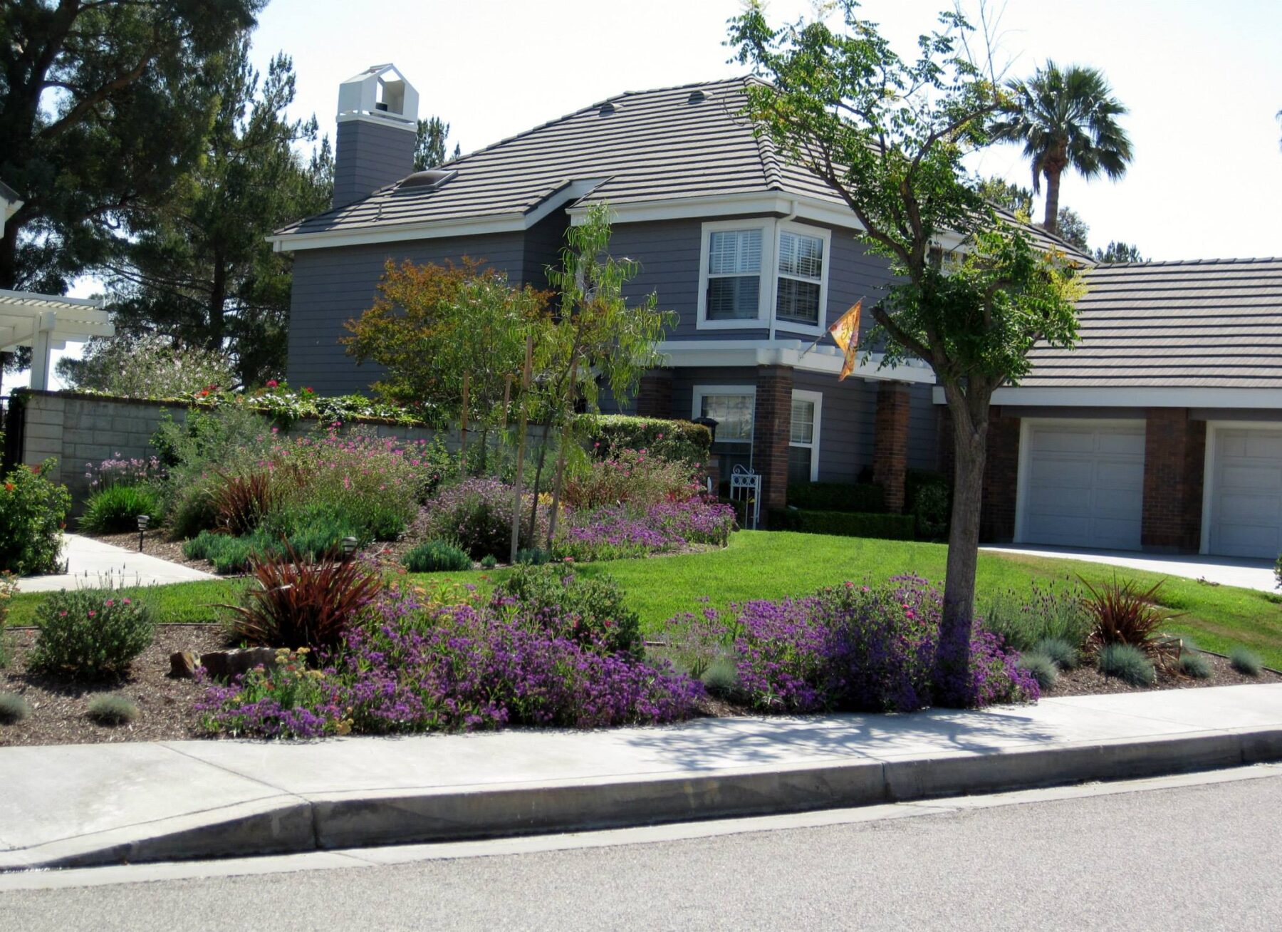 Our Work - valencia-lawn-reduction
